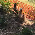 度假居 Le Petit Vent Sormano