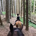 Le Petit Vent 度假居 *