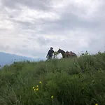 Le Petit Vent 度假居