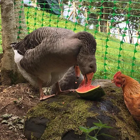 Le Petit Vent Frühstückspension *