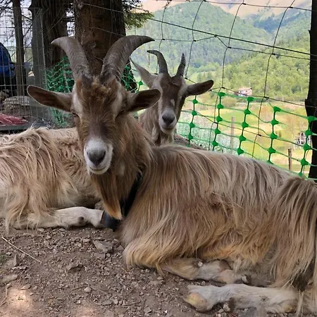 Le Petit Vent Bed & Breakfast Sormano