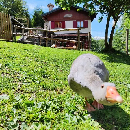 Le Petit Vent Bed & Breakfast *