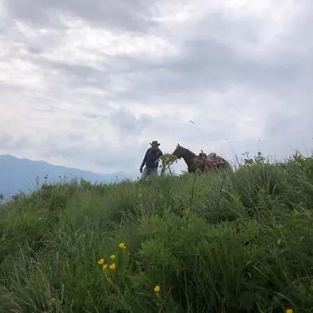 Le Petit Vent 度假居