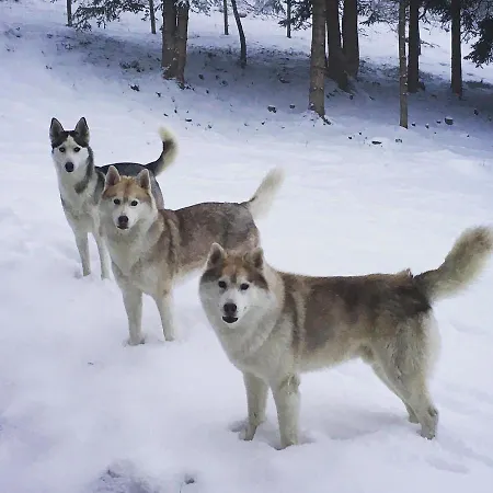 Le Petit Vent Holiday home *