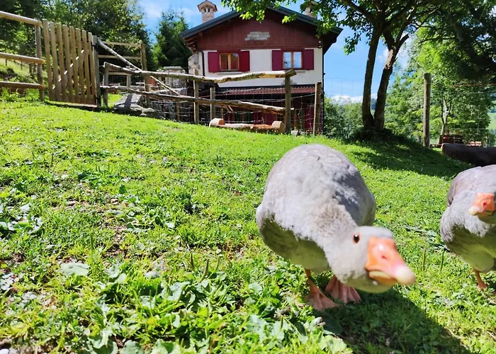 Le Petit Vent Сasa de vacaciones *