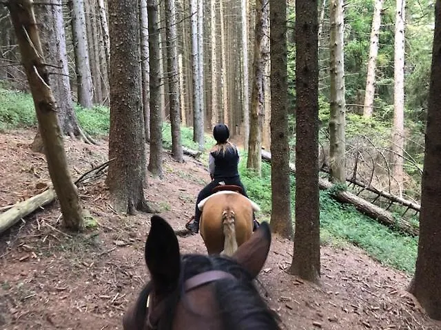 Le Petit Vent Сasa de vacaciones *