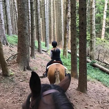 Le Petit Vent Hébergement de vacances *